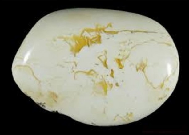 Foto - Fiyatları dudak uçuklatıyor!