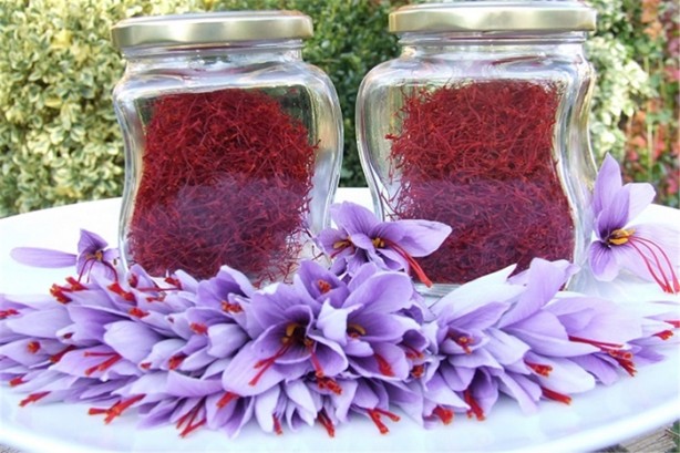 Foto - Fiyatları dudak uçuklatıyor!