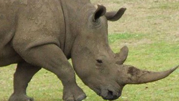 Foto - Fiyatları şok ediyor! İşte dünyanın en pahalı 15 maddesi