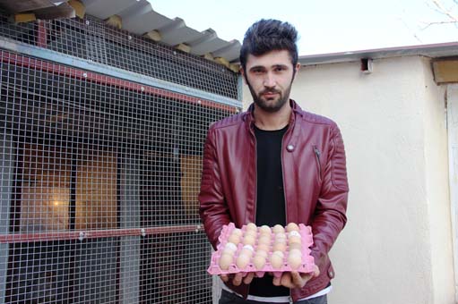 Foto - Fiyatlarıyla dikkat çekiyor! Yumurtası 40 TL