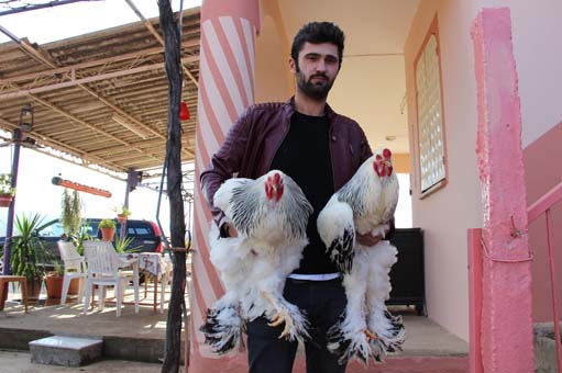 Foto - Fiyatlarıyla dikkat çekiyor! Yumurtası 40 TL