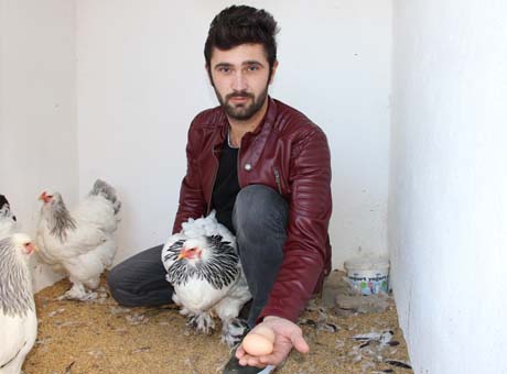 Fiyatlarıyla dikkat çekiyor! Yumurtası 40 TL