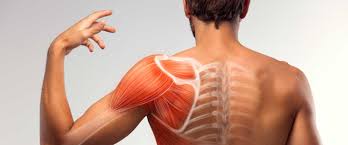 Foto - Yorgunluk ve unutkanlığınızın nedeni bu olabilir: Her şey dahil! İşte vitamin eksikliğinin 10 işareti var