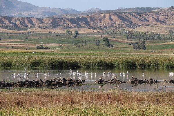 Foto - Flamingolar Türkiye'ye veda ediyor