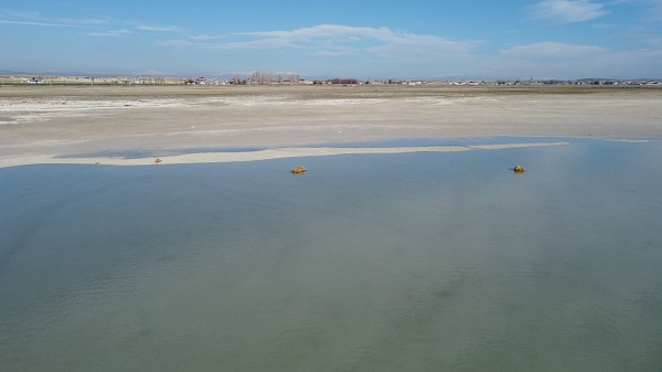 Foto - Flamingolar yerini ötücü kuşlara bıraktı