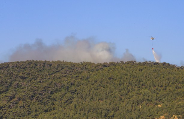 Foto - Foça'da orman yangını