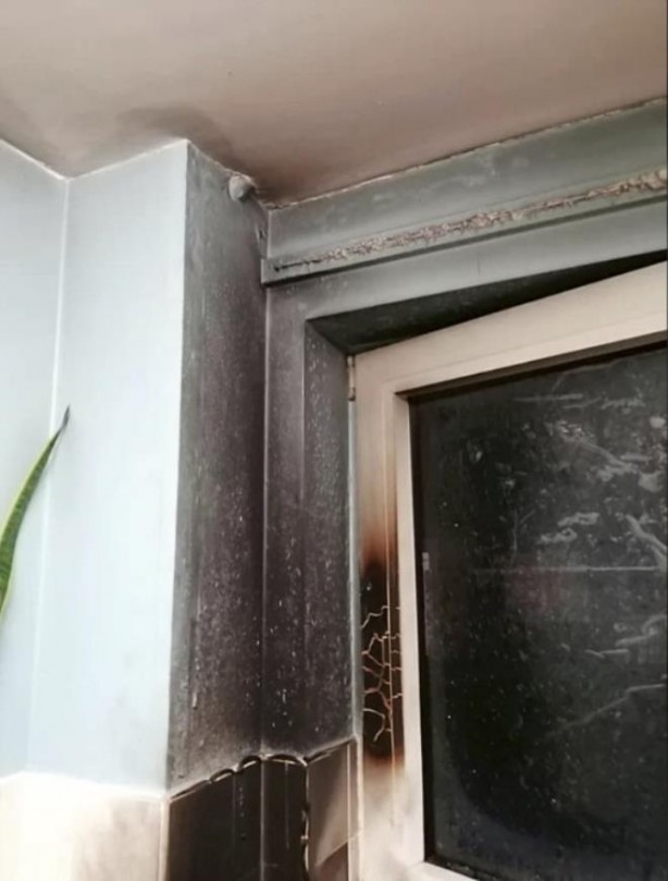 Foto - Fosil zannettiler gerçek çok başka çıktı! Neredeyse ölüyorlardı