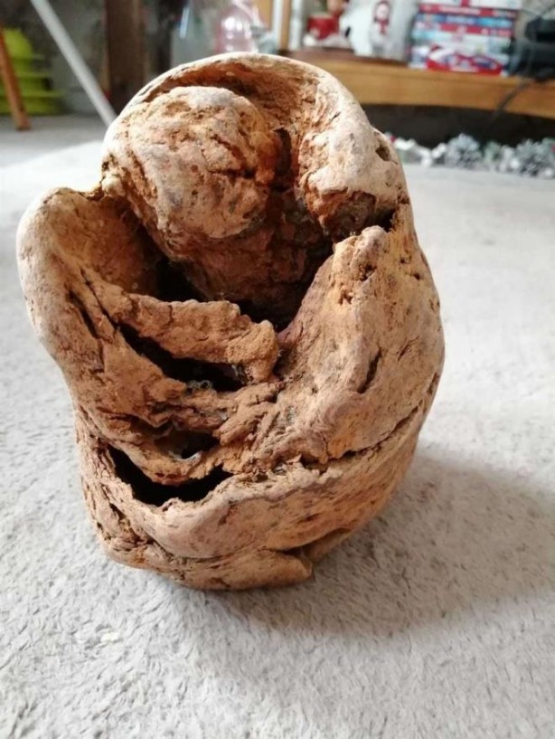 Foto - Fosil zannettiler gerçek çok başka çıktı! Neredeyse ölüyorlardı