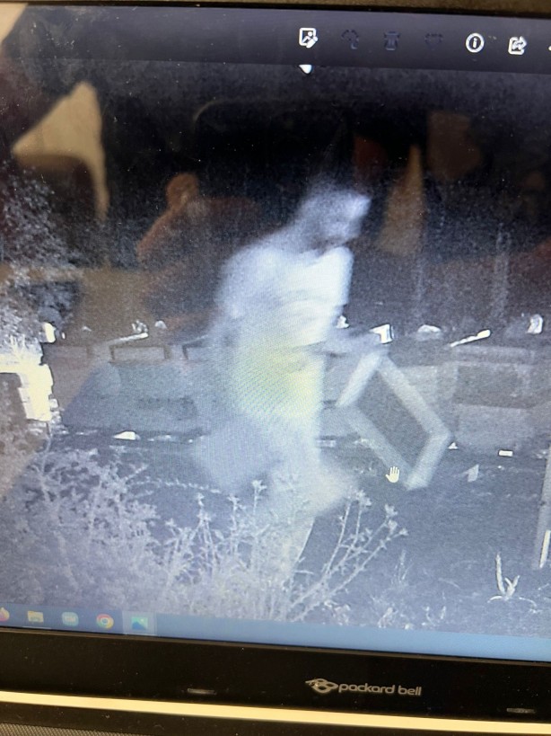 Foto - Foto kapana bu kez hırsız yakalandı!