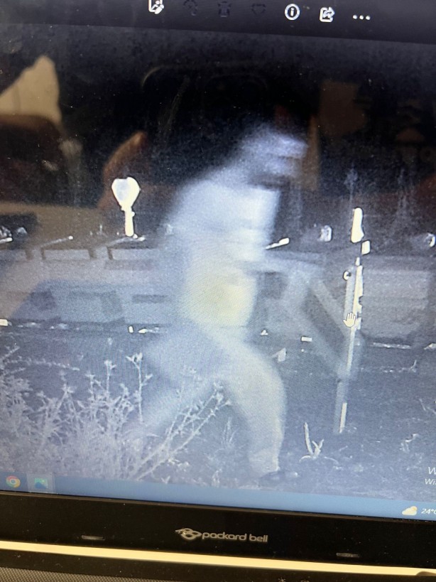 Foto - Foto kapana bu kez hırsız yakalandı!