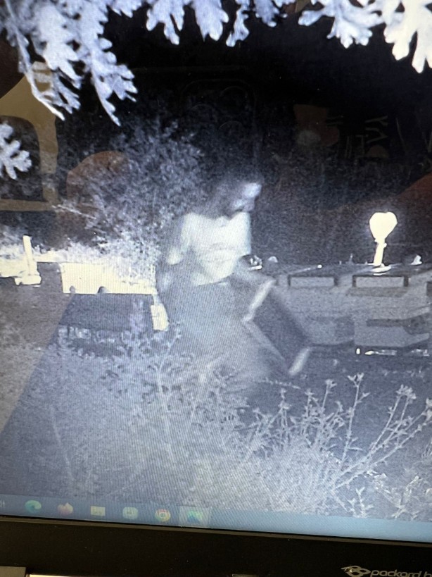 Foto kapana bu kez hırsız yakalandı!