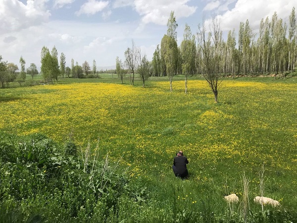 Foto - Fotoğraf çekmek isteyenler akın ediyor