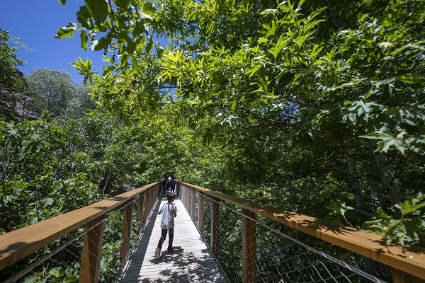 Foto - Fotoğraf meraklılarının yeni rotası: Yerköprü Şelalesi