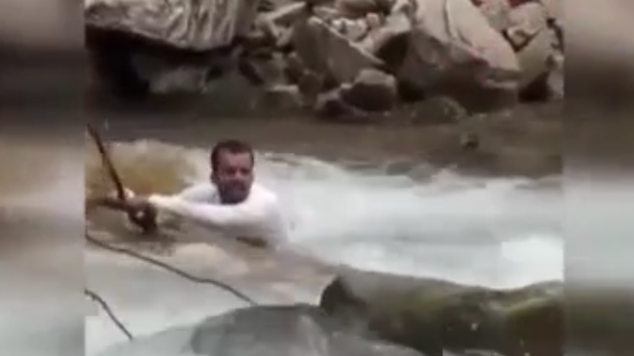 Fotoğraf sevdası acı bitti! Uzungöl'de derede can pazarı!