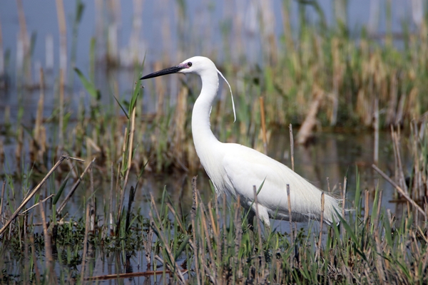 Foto - Fotoğraf tutkunları akın ediyor! Görenleri hayran bırakan manzaralar