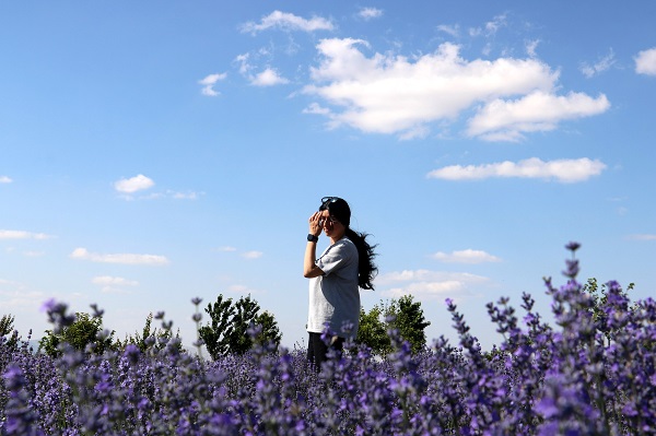 Foto - Fotoğraf tutkunlarının yeni adresi