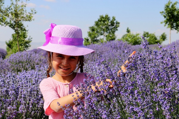 Foto - Fotoğraf tutkunlarının yeni adresi