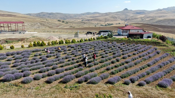 Foto - Fotoğraf tutkunlarının yeni adresi