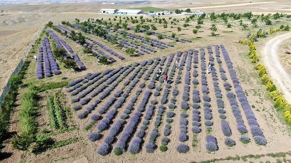 Foto - Fotoğraf tutkunlarının yeni adresi