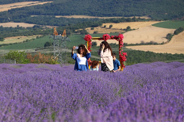 Foto - Fotoğraf tutkunlarının yeni gözdesi