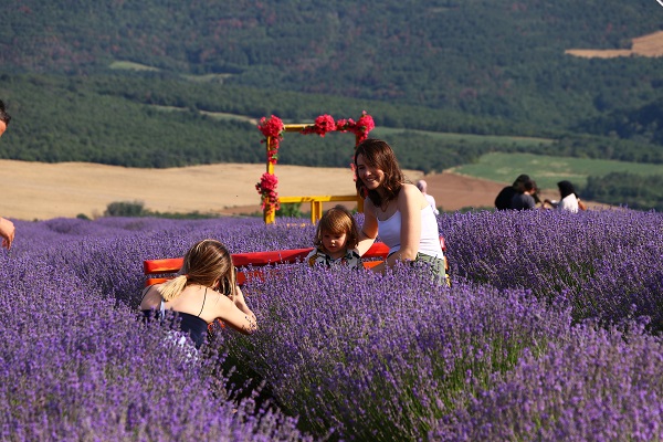 Foto - Fotoğraf tutkunlarının yeni gözdesi