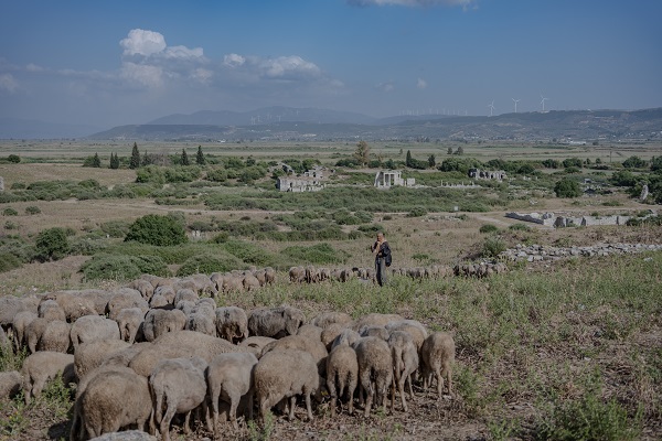 Foto - Fotoğraf ve tarihseverlerin yeni rotası: Didim