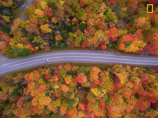 Foto - Fotoğraf yarışmasına katılan muhteşem doğa fotoğrafları