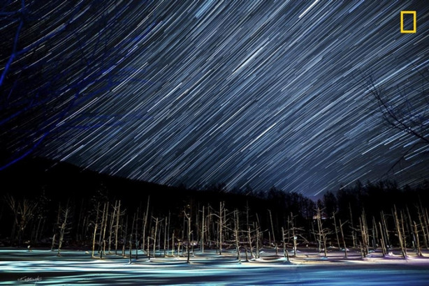 Foto - Fotoğraf yarışmasına katılan muhteşem doğa fotoğrafları