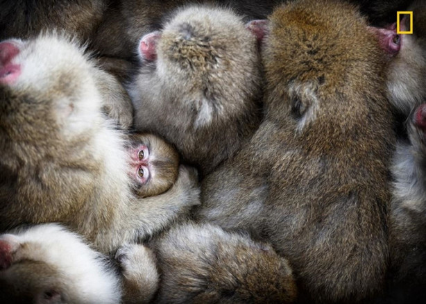 Foto - Fotoğraf yarışmasına katılan muhteşem doğa fotoğrafları