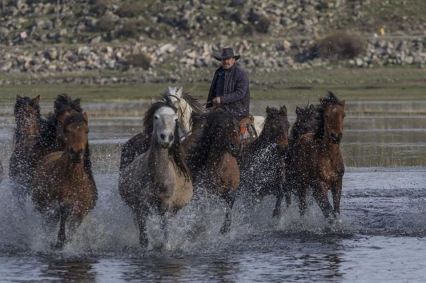 Foto - Fotoğrafçıların gözdesi oldu