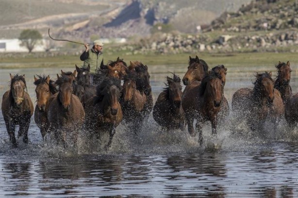 Foto - Fotoğrafçıların gözdesi oldu