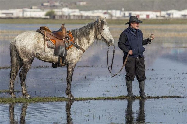 Foto - Fotoğrafçıların gözdesi oldu
