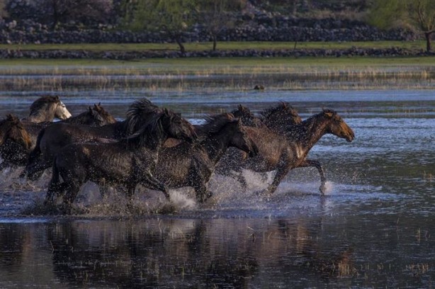 Foto - Fotoğrafçıların gözdesi oldu
