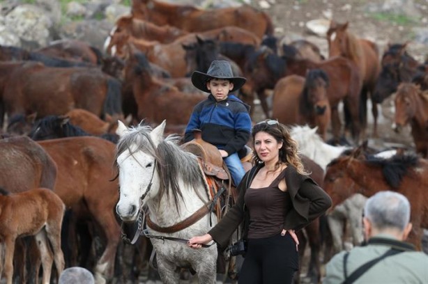 Foto - Fotoğrafçıların gözdesi oldu