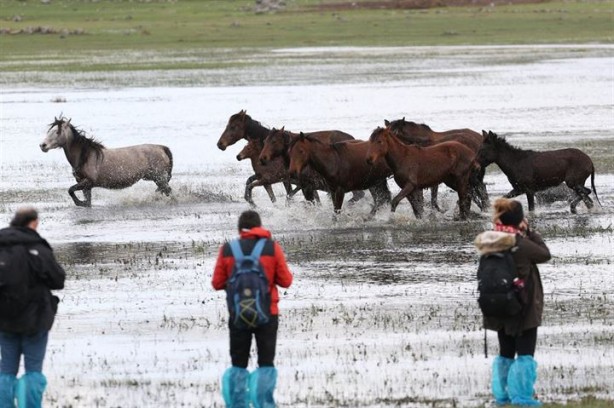 Foto - Fotoğrafçıların gözdesi oldu