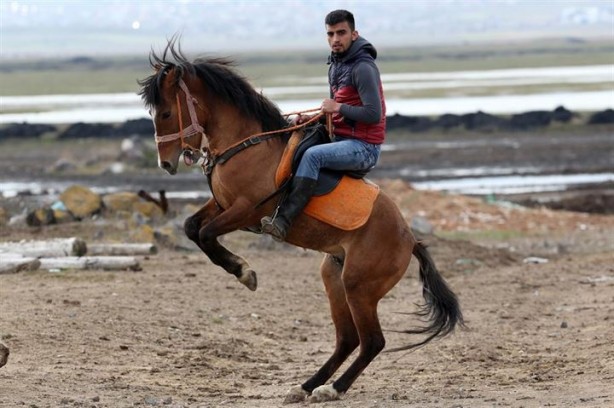 Foto - Fotoğrafçıların gözdesi oldu