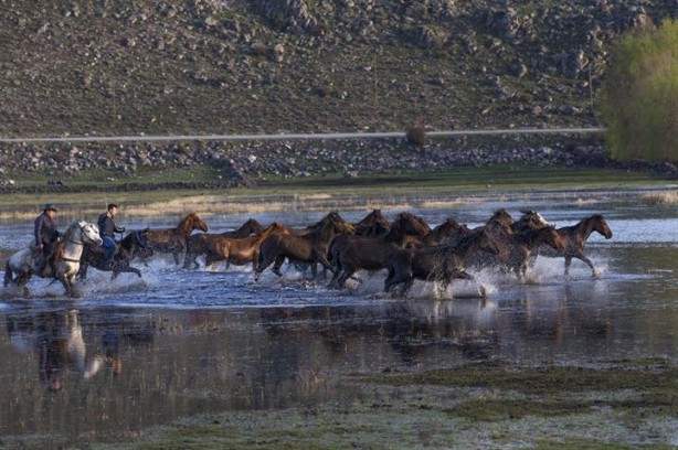 Foto - Fotoğrafçıların gözdesi oldu