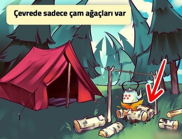 Foto - Fotoğraflar kişiliğinizi ele veriyor! Sosyal medyayı sallayan test
