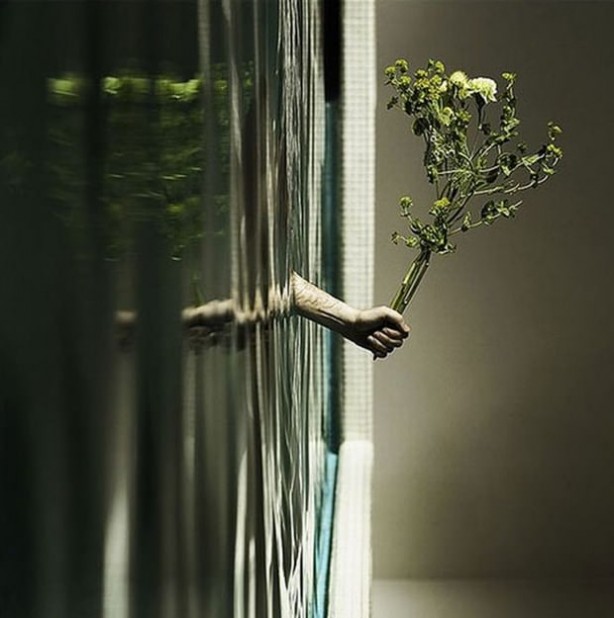 Foto - Fotoğraflarda gördüğünüz her şeye inanmayın