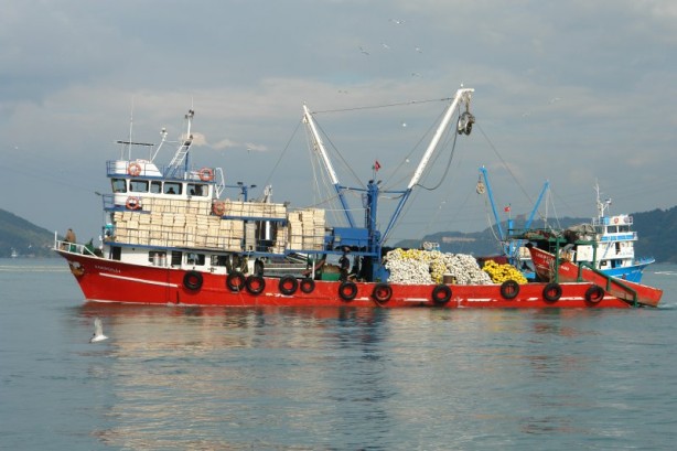 Foto - Fotoğraflarla da olsa Boğaziçi bir başka güzel