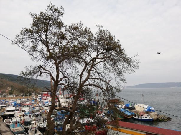 Foto - Fotoğraflarla da olsa Boğaziçi bir başka güzel