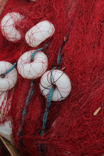 Foto - Fotoğraflarla da olsa Boğaziçi bir başka güzel