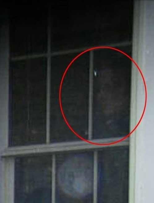 Foto - Fotoğraftaki detay kan dondurdu! Bilim dünyası açıklama yapamıyor