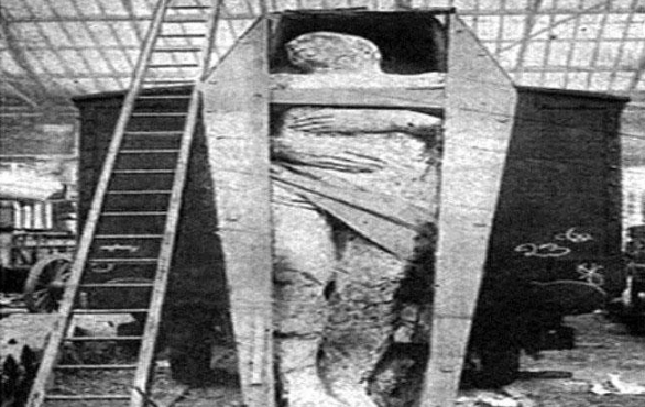 Foto - Fotoğraftaki detay kan dondurdu! Bilim dünyası açıklama yapamıyor