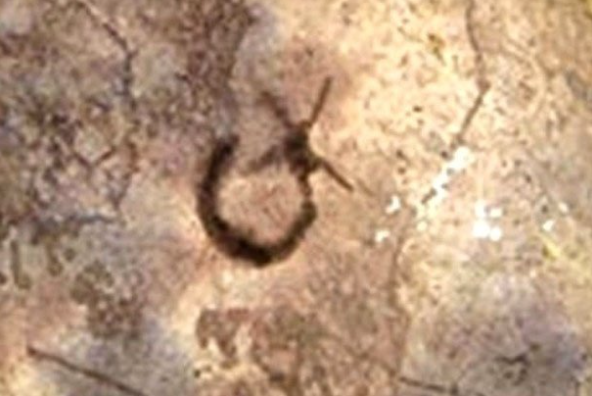 Foto - Fotoğraftaki detay kan dondurdu! Bilim dünyası açıklama yapamıyor