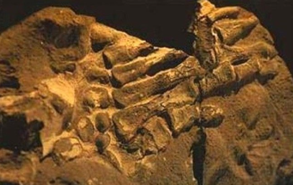 Foto - Fotoğraftaki detay kan dondurdu! Bilim dünyası açıklama yapamıyor