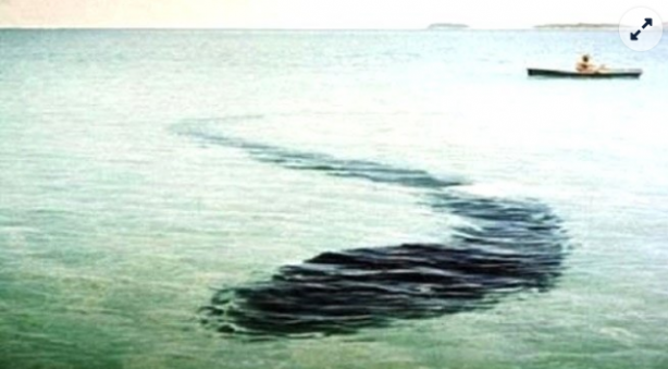 Foto - Fotoğraftaki detay kan dondurdu! Bilim dünyası açıklama yapamıyor