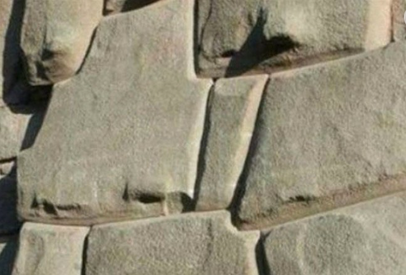 Foto - Fotoğraftaki detay kan dondurdu! Bilim dünyası açıklama yapamıyor