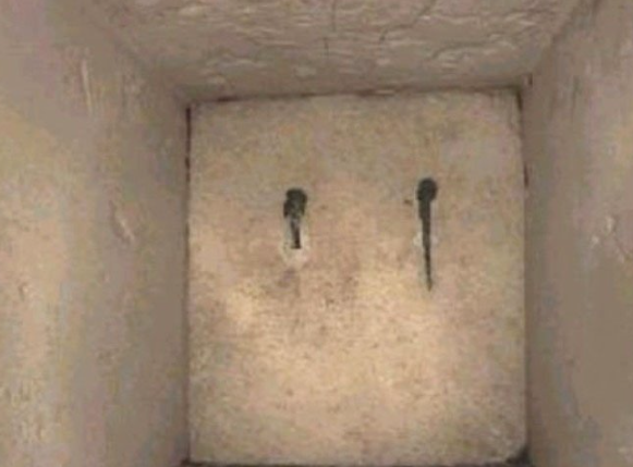 Foto - Fotoğraftaki detay kan dondurdu! Bilim dünyası açıklama yapamıyor