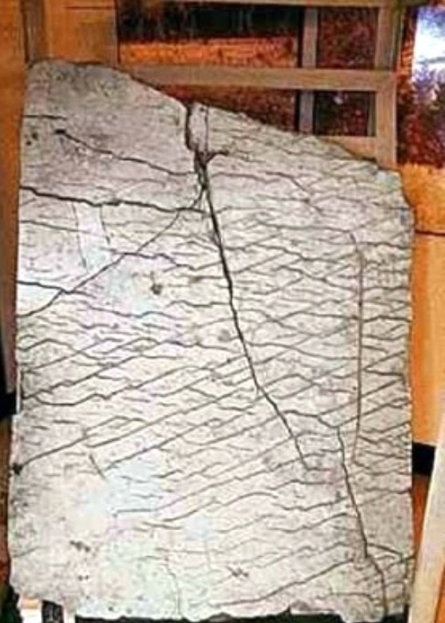 Foto - Fotoğraftaki detay kan dondurdu! Bilim dünyası açıklama yapamıyor